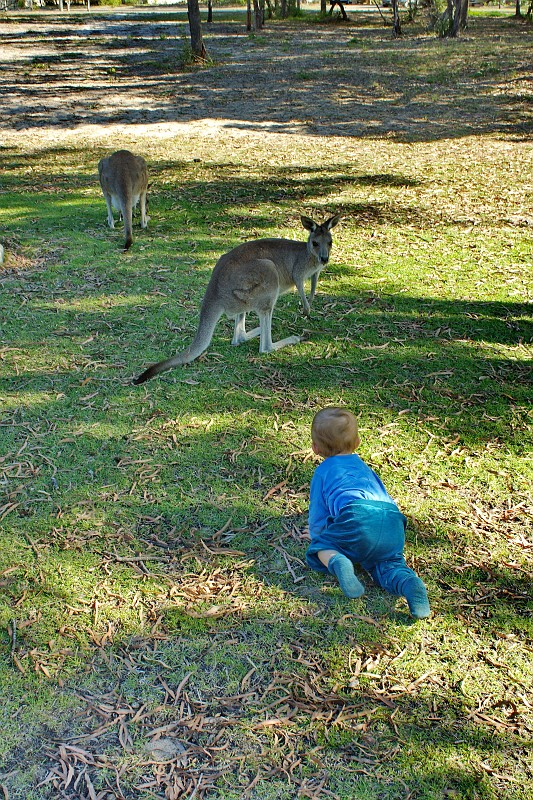 2009-11-06 22-04-11_1.jpg - ... das fang ich mir!